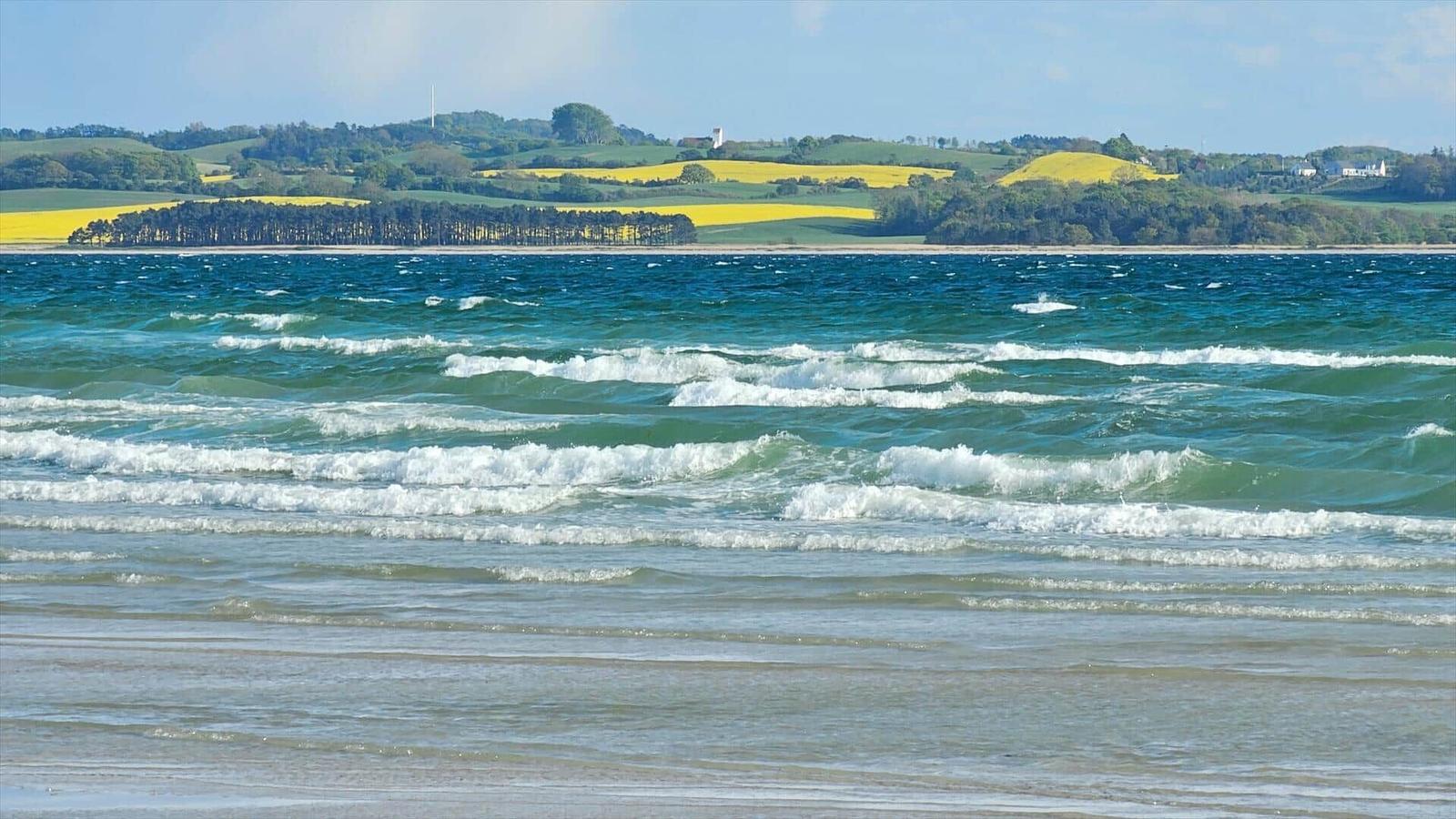 Wellen brechen an einem Strand, im Hintergrund sind Hügel mit gelben Feldern und Bäumen zu sehen.
