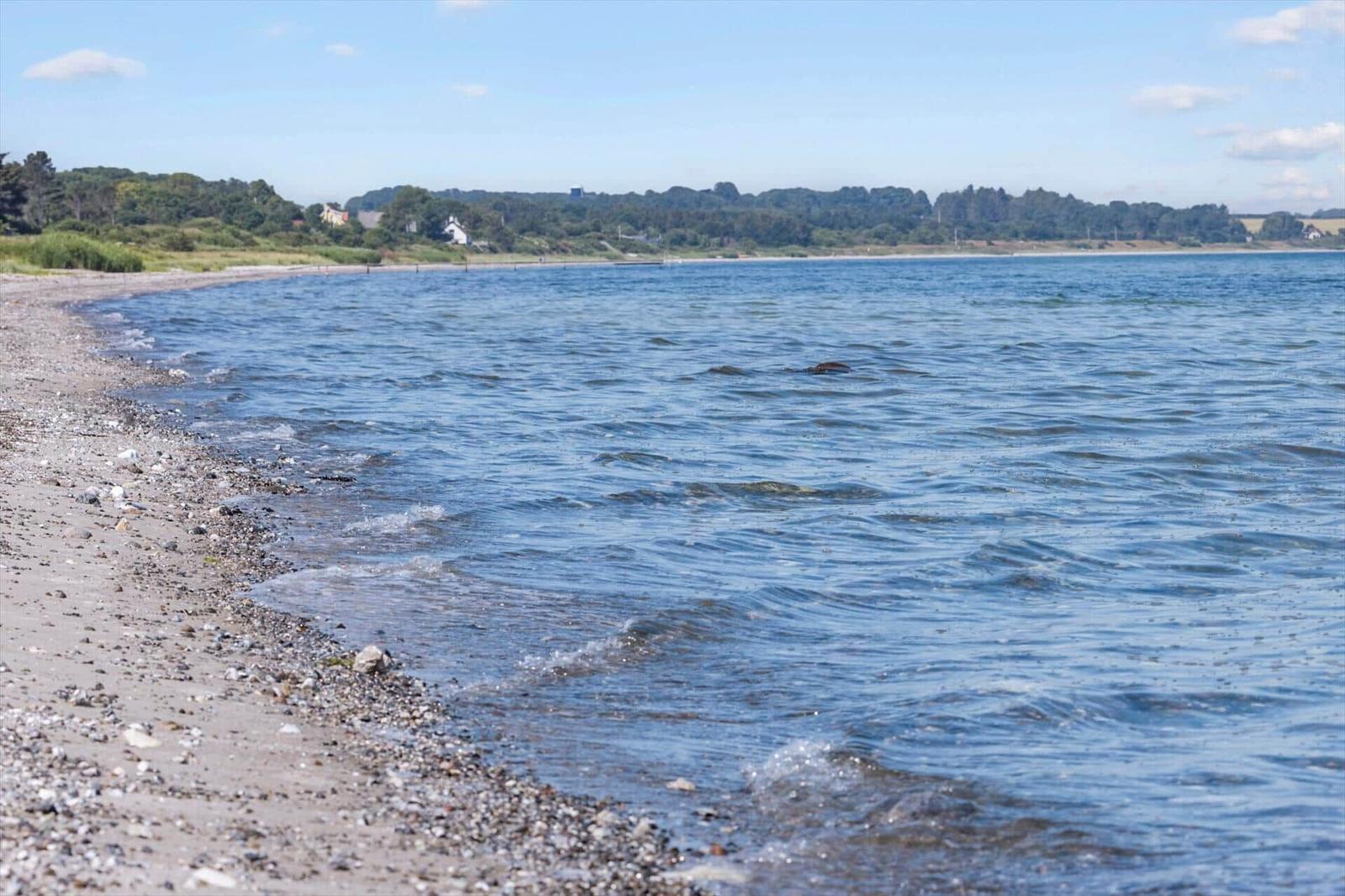 Strand mit Kiesstrand und ruhigem Wasser. Im Hintergrund sind Bäume und Häuser zu sehen.