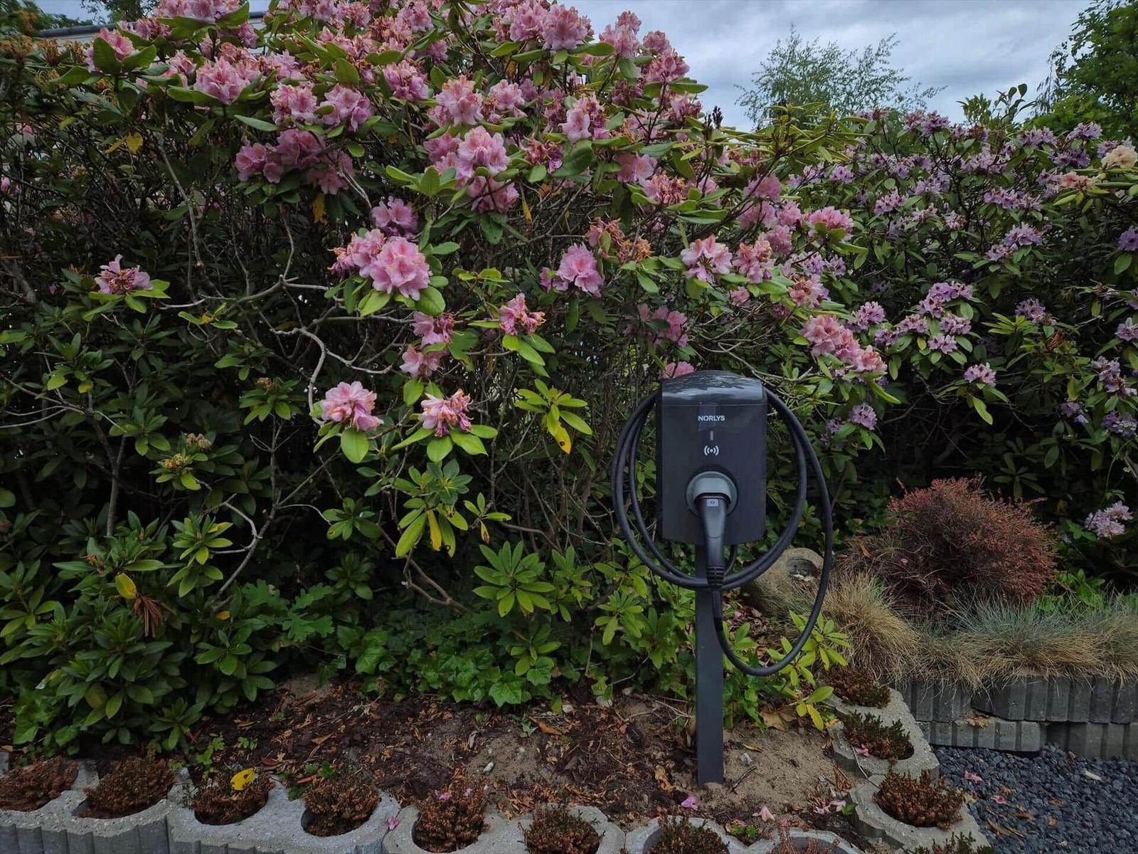 Electric charging point in the garden with blooming bushes.