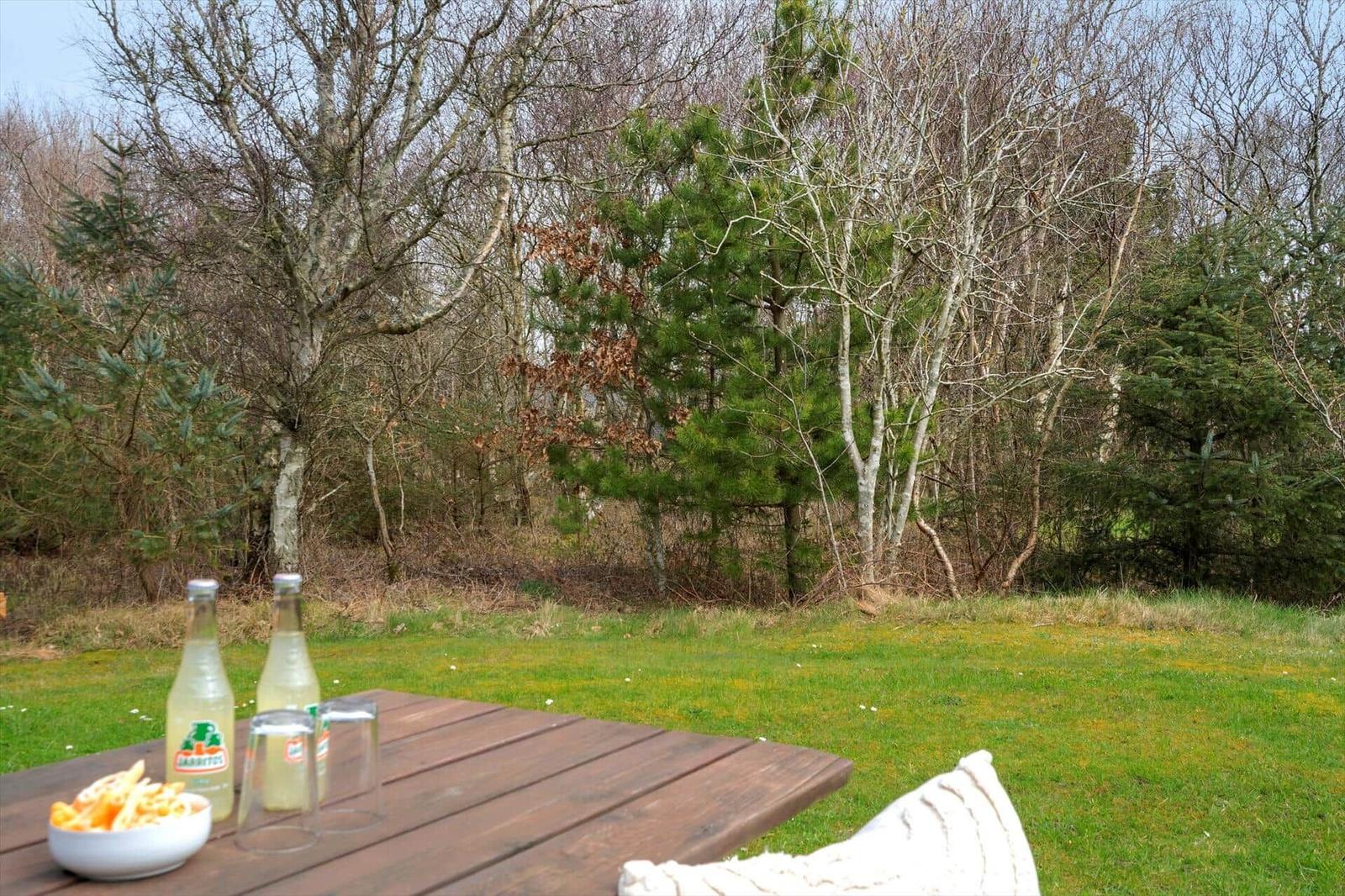 Holztisch mit Getränken und Snacks auf grünem Rasen vor Wald.