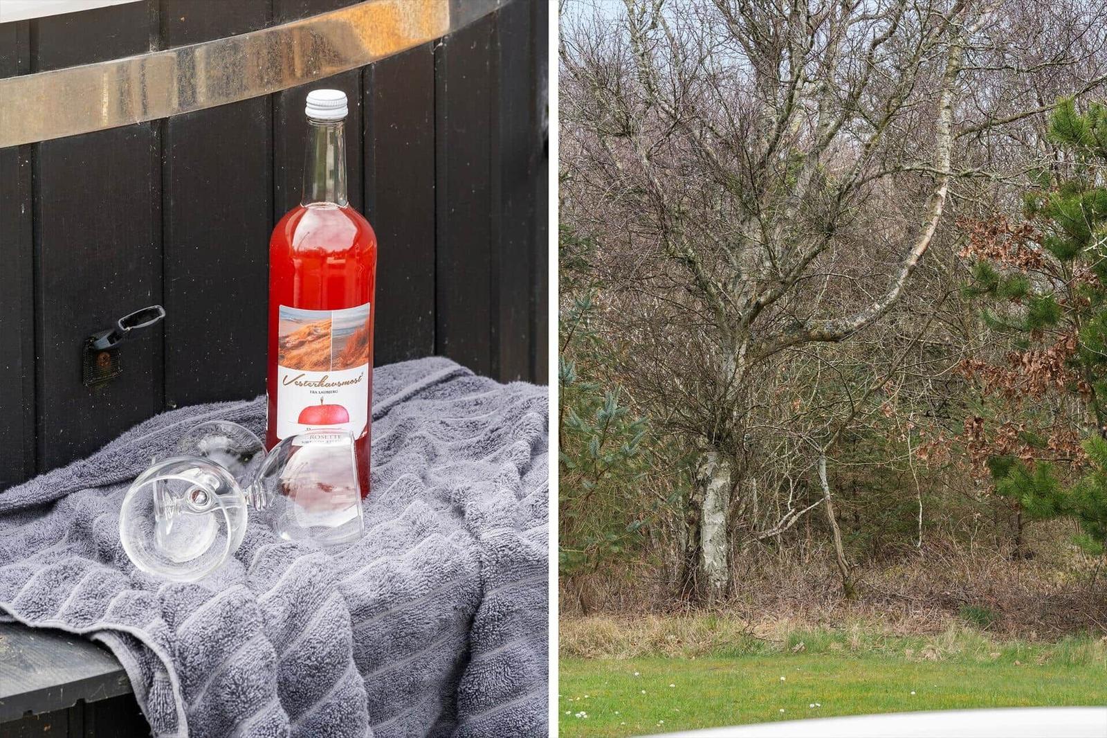 Eine Flasche Most und zwei Gläser auf einem Handtuch. Ein Baum im Wald mit grünem Gras im Vordergrund.