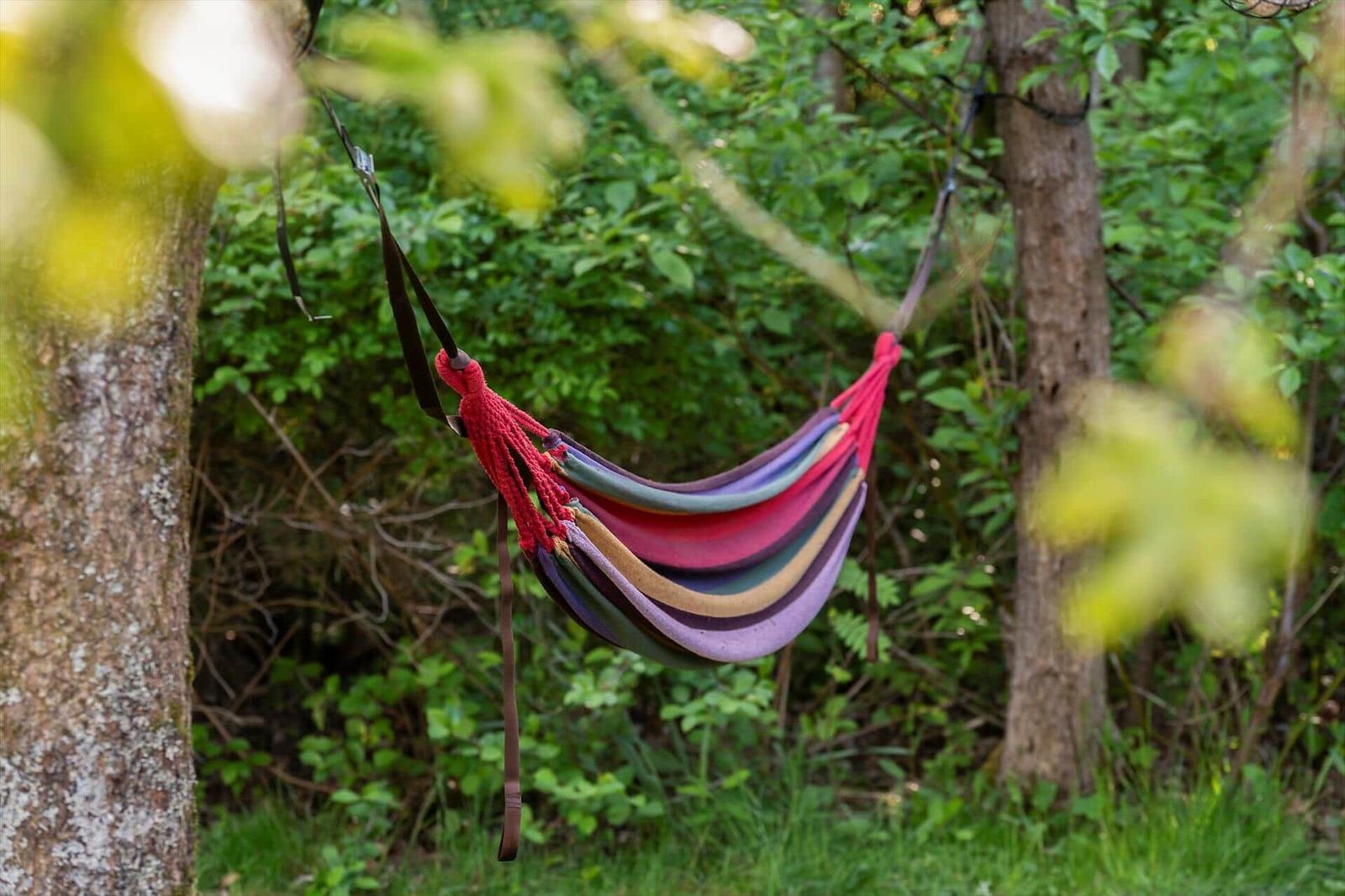 Ein bunter Hängematten zwischen zwei Bäumen im Wald.