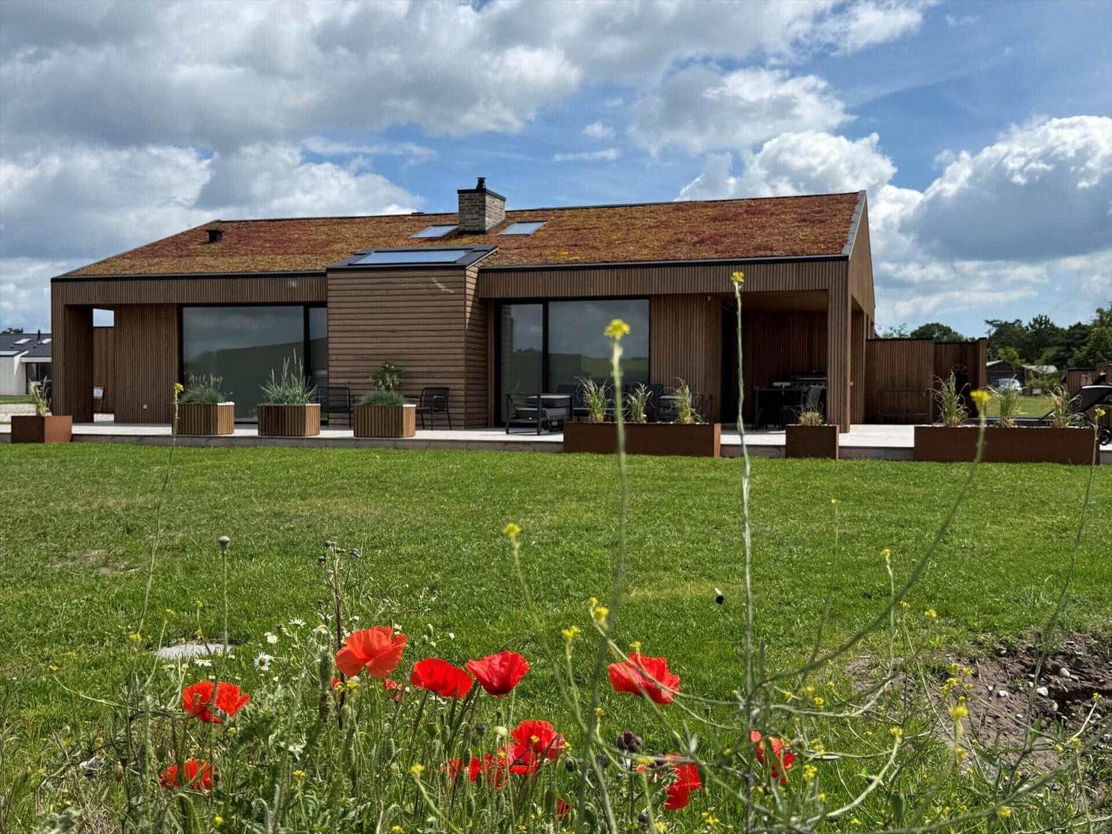 Moderne Holzhäuser mit großem Garten und roten Mohnblumen im Vordergrund.
