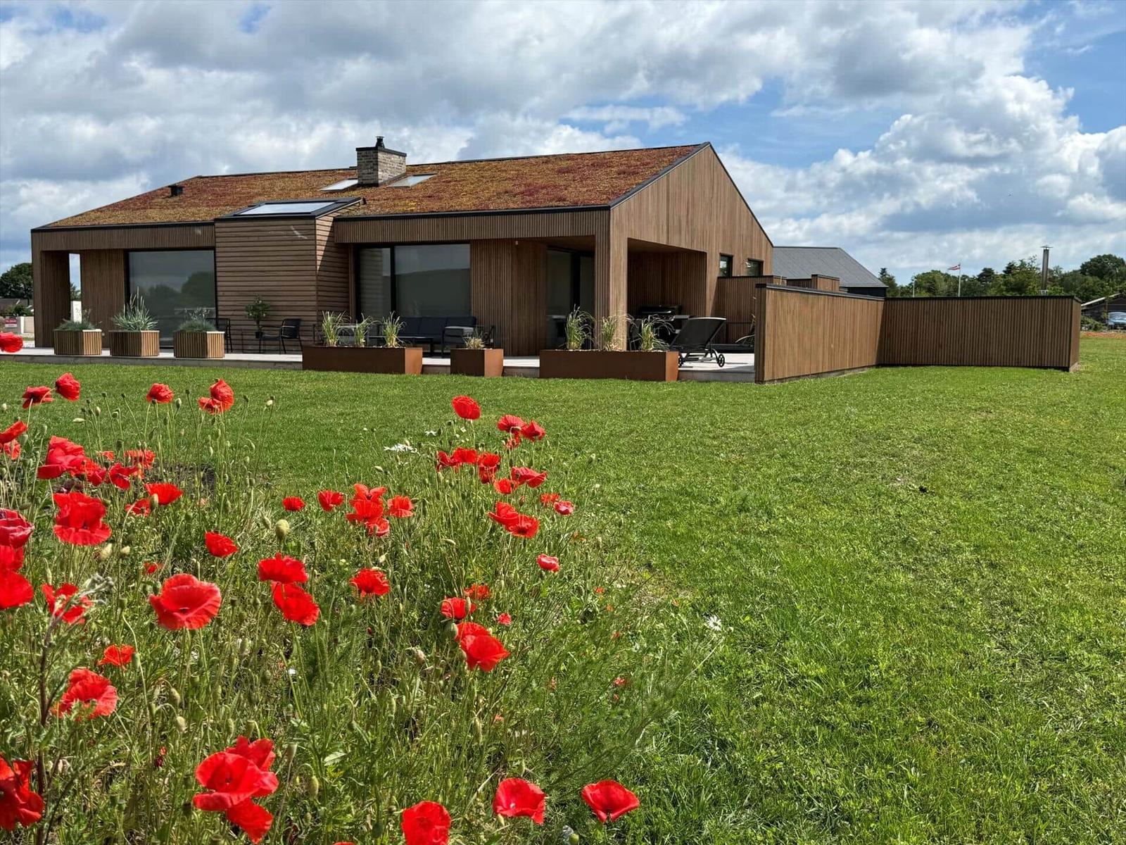 Moderne Villa mit Holzfassade und grünem Dach. Vorderhof mit roten Mohnblumen und Terrasse.