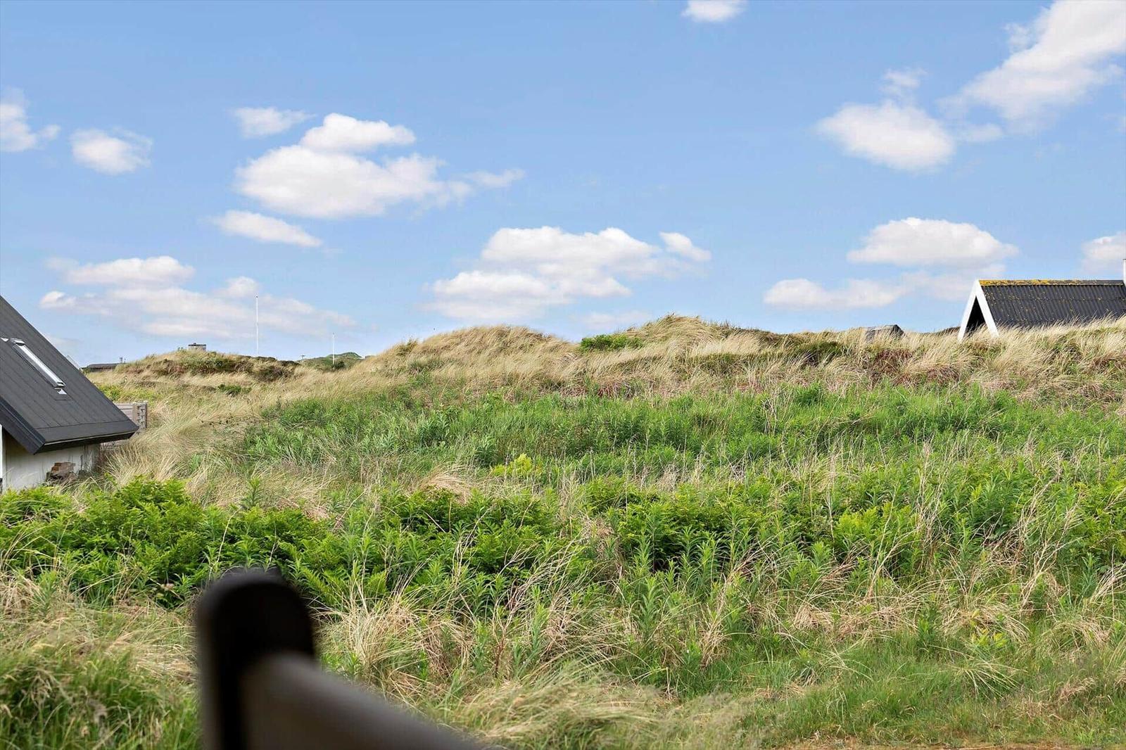 Dünenlandschaft mit Gras und Häusern unter blauem Himmel mit weißen Wolken.