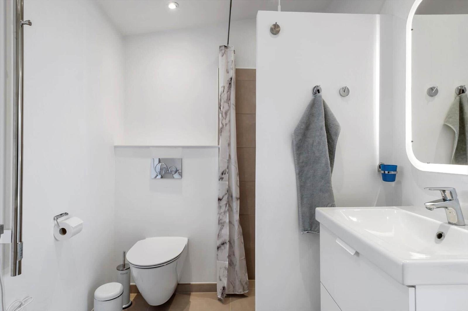 Bathroom with toilet, shower, and sink with mirror.
