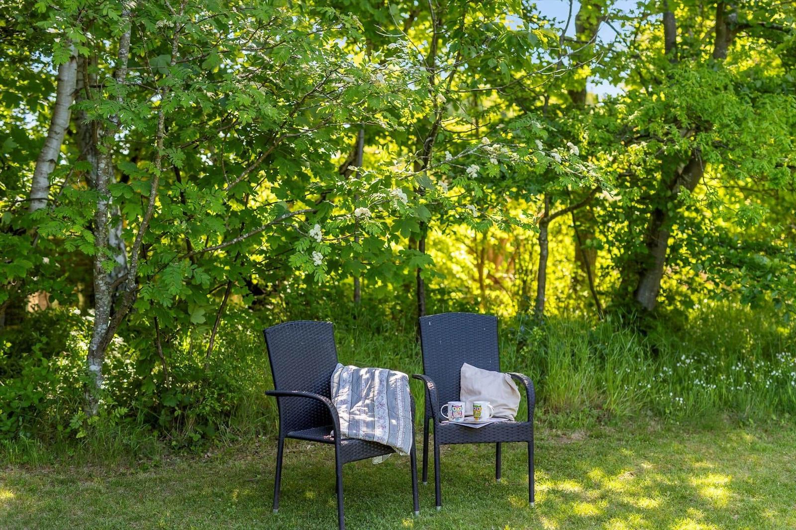 Two chairs with cushions and mugs are on the grass under trees.