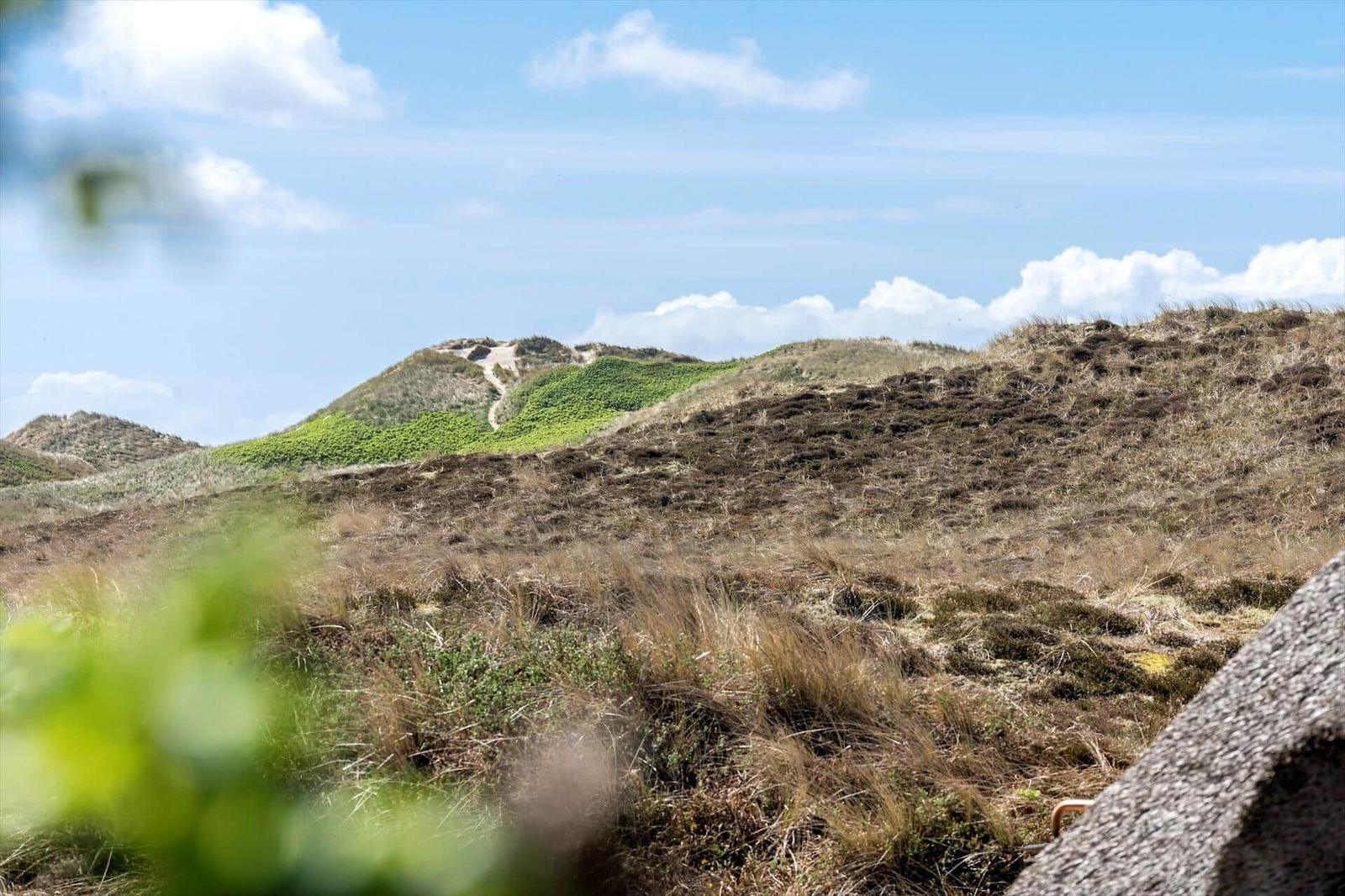 Green and brown hills under blue sky with white clouds.