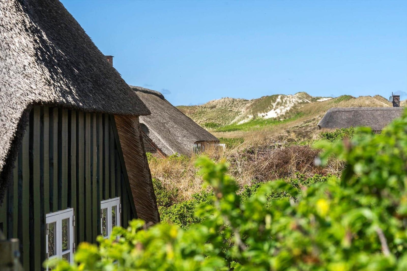 Thatched roof, green facade, sand dunes in background