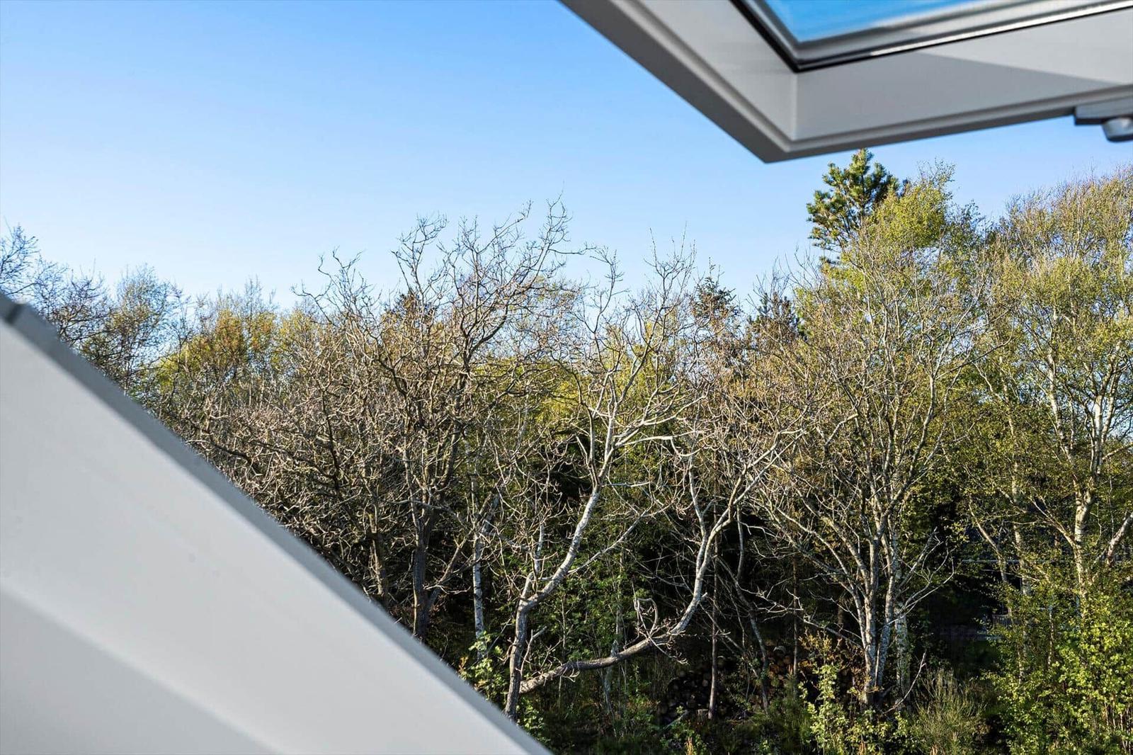 Durch das Dachfenster blickt man auf einen Wald mit Bäumen und einem klaren Himmel.