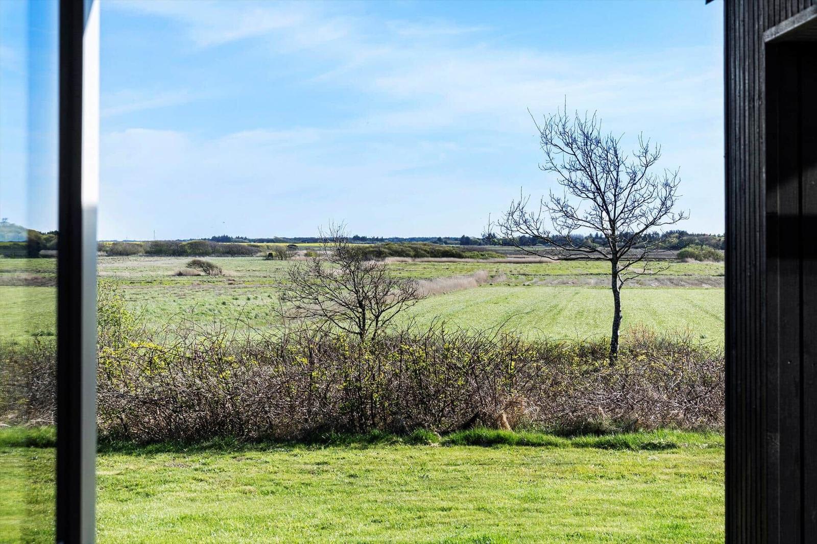 Weitläufiges Grünland mit Bäumen und Sträuchern unter blauem Himmel. Blick aus einem Fenster.