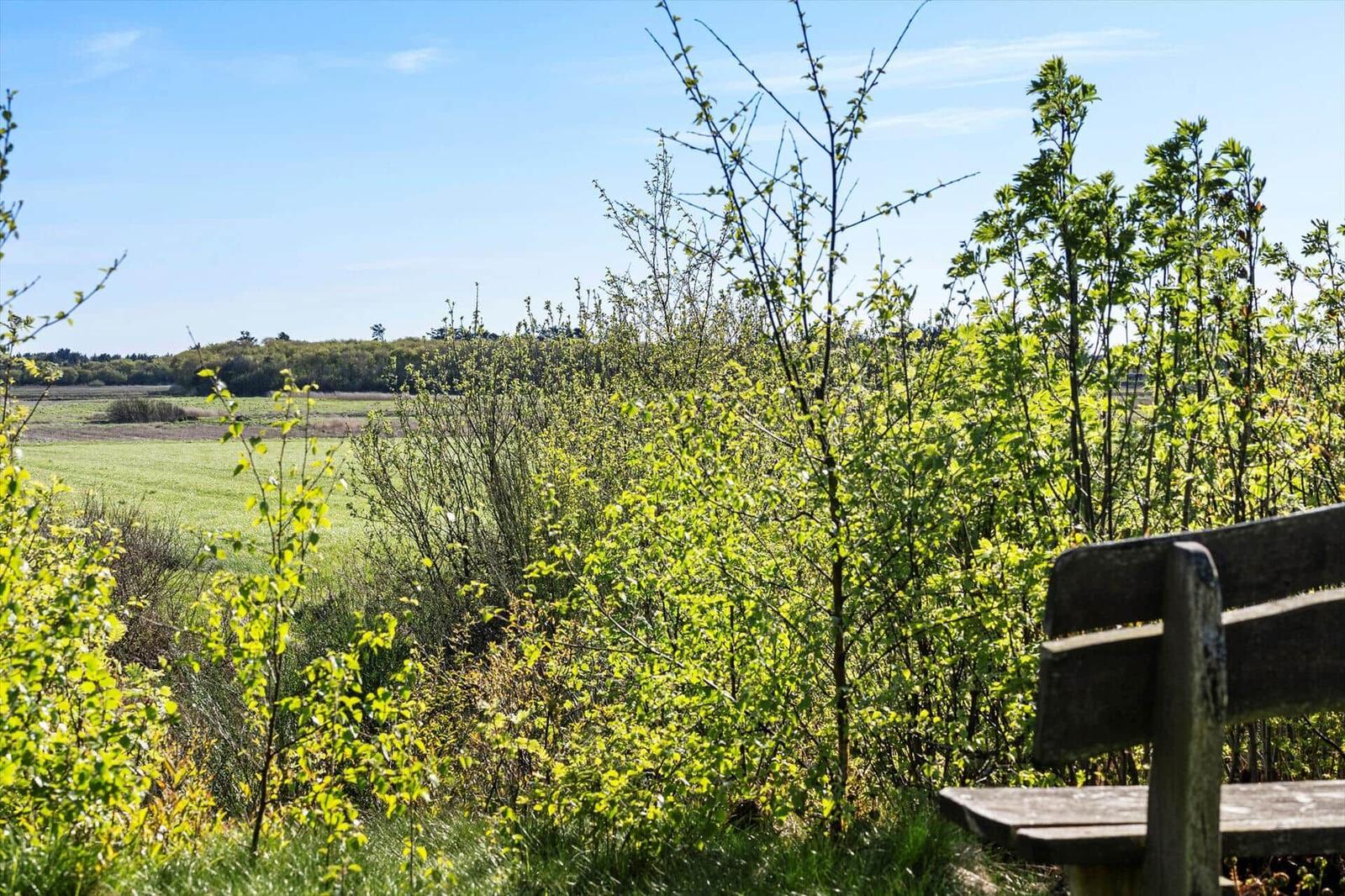 Holzbank im Grünen mit Blick auf Feld und Wald.