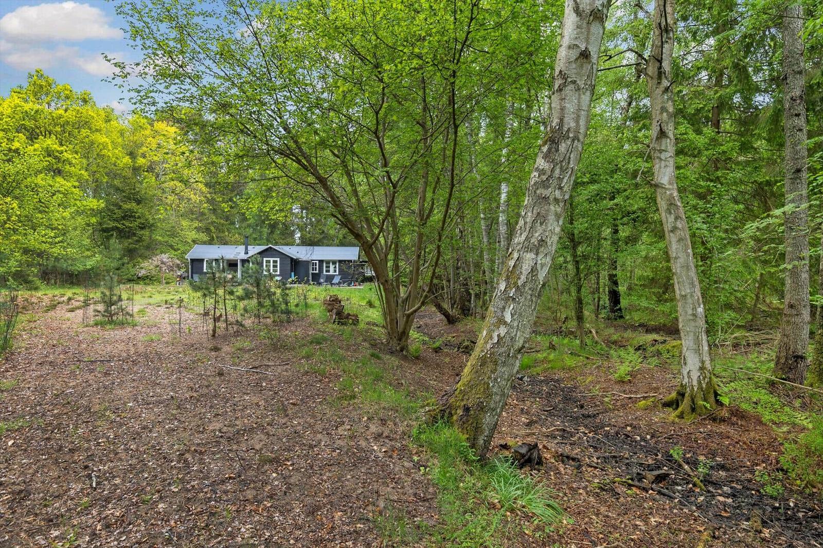 Ein Haus steht inmitten eines grünen Waldes mit hohen Bäumen und einem bewaldeten Grundstück.