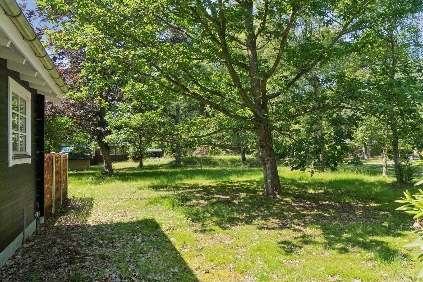 Two black cabins with white windows and doors in the woods. Grass and trees surround the buildings.