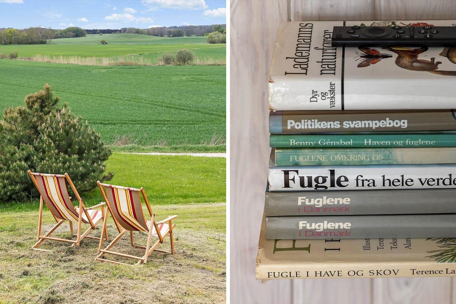 Zwei Liegestühle im Garten mit Blick auf Felder. Bücher über Vögel und Natur.