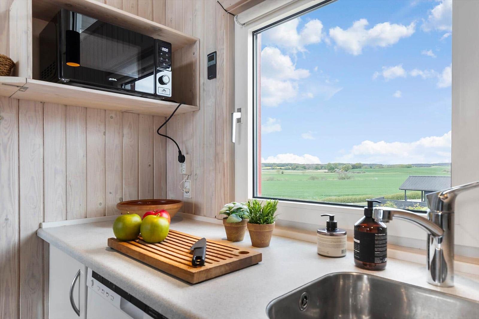 Küche mit Aussicht auf grünes Feld. Mikrowelle, Spüle und Obst auf Arbeitsfläche.
