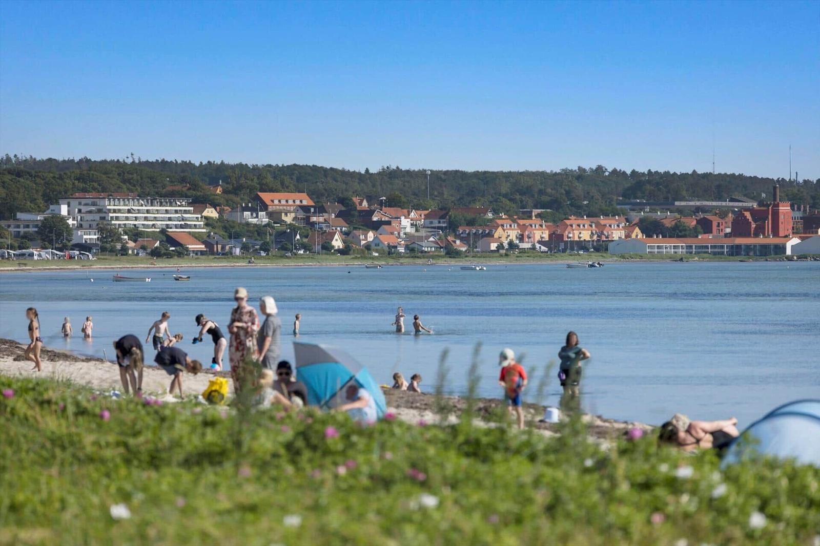 Beach with bathers and view of coastal town with houses and trees.