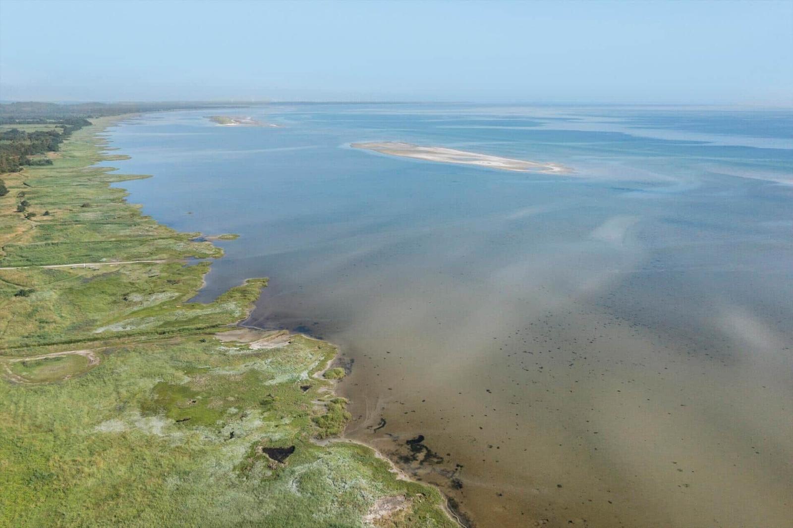 Aerial view of a riverbank with grassland and sandy shoreline area.