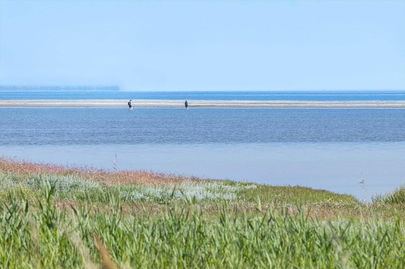Two people stand on a sandy island between two bodies of water. Foreground: green grass.