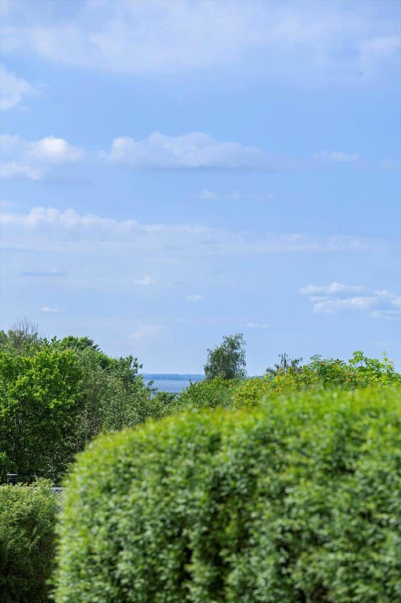 Blick auf einen See hinter grünen Bäumen und Sträuchern unter blauem Himmel mit weißen Wolken.