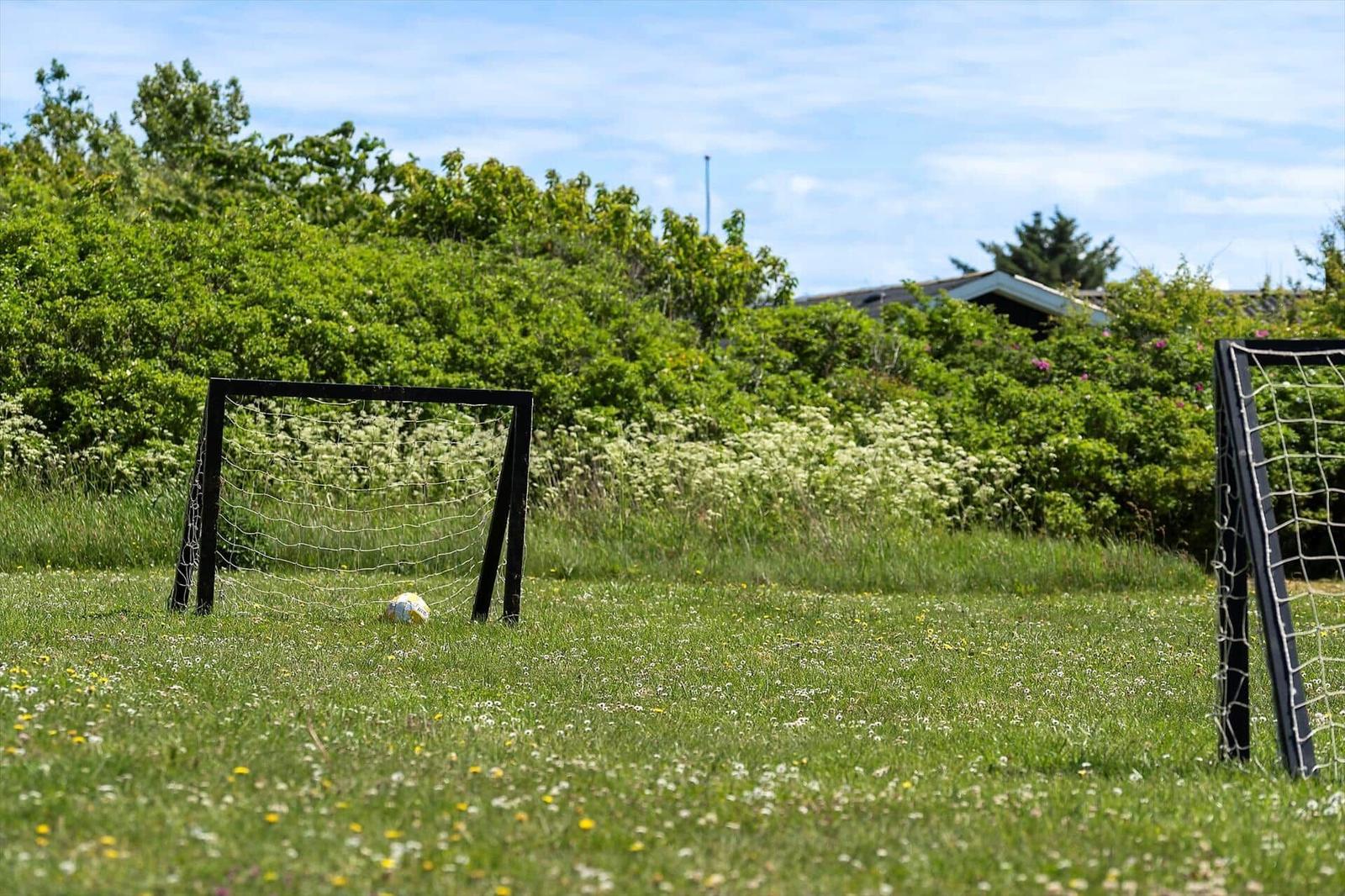 Fussballtor und Ball auf grünem Rasen mit Blumen und Sträuchern im Hintergrund.