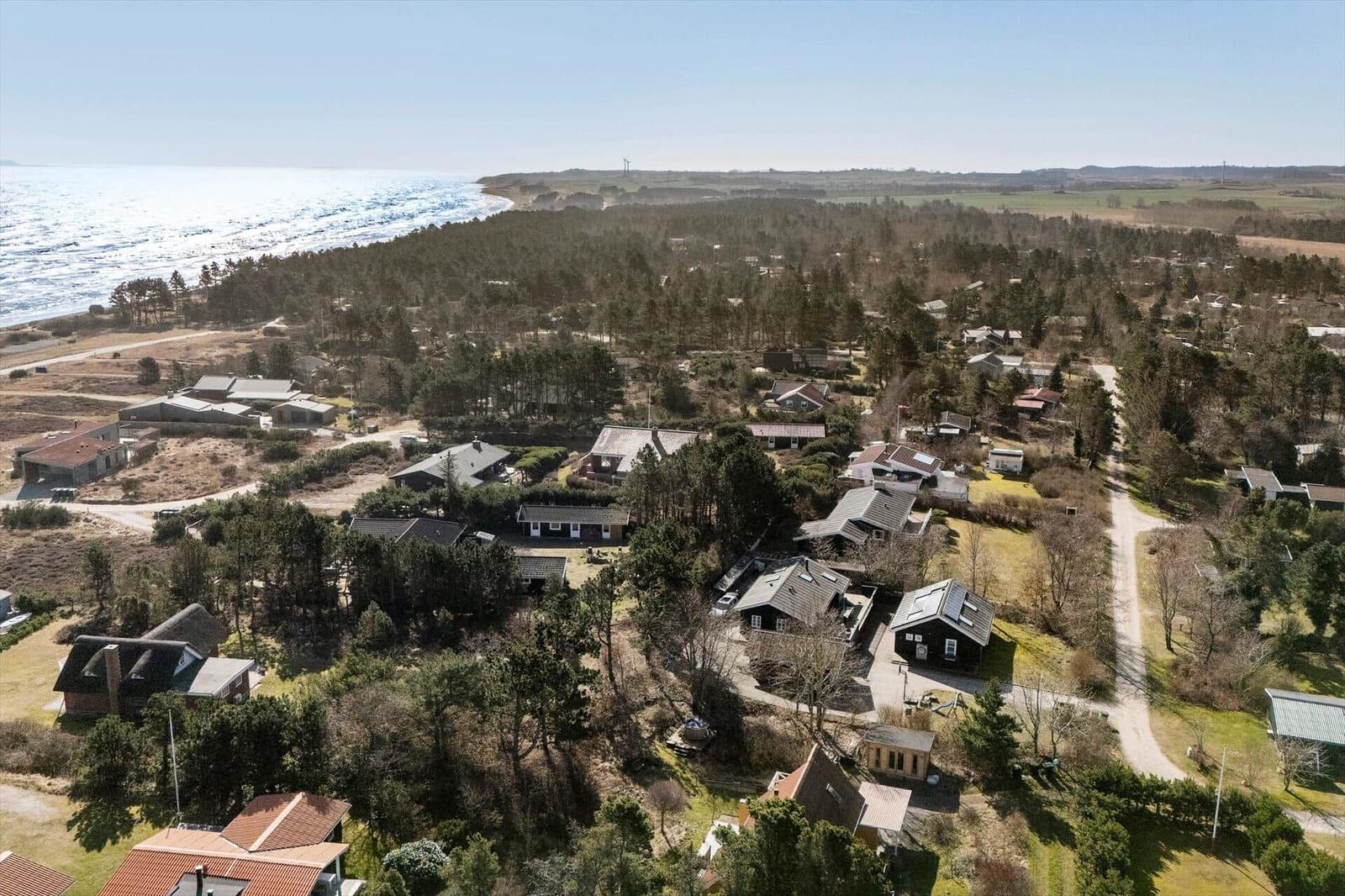 Luftbild von Ferienhäusern am Meer mit Wald und Feldern