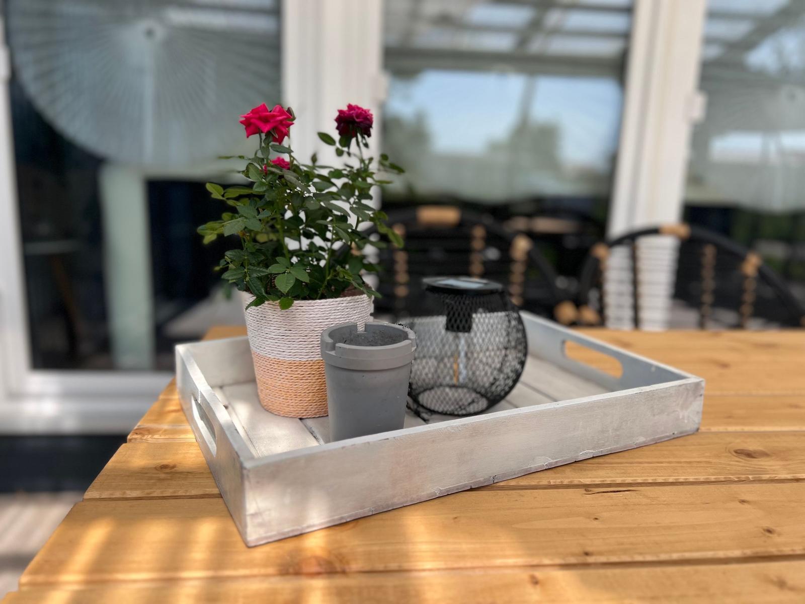 Auf dem Tisch steht ein Kasten mit Pflanze, Becher und Laterne.