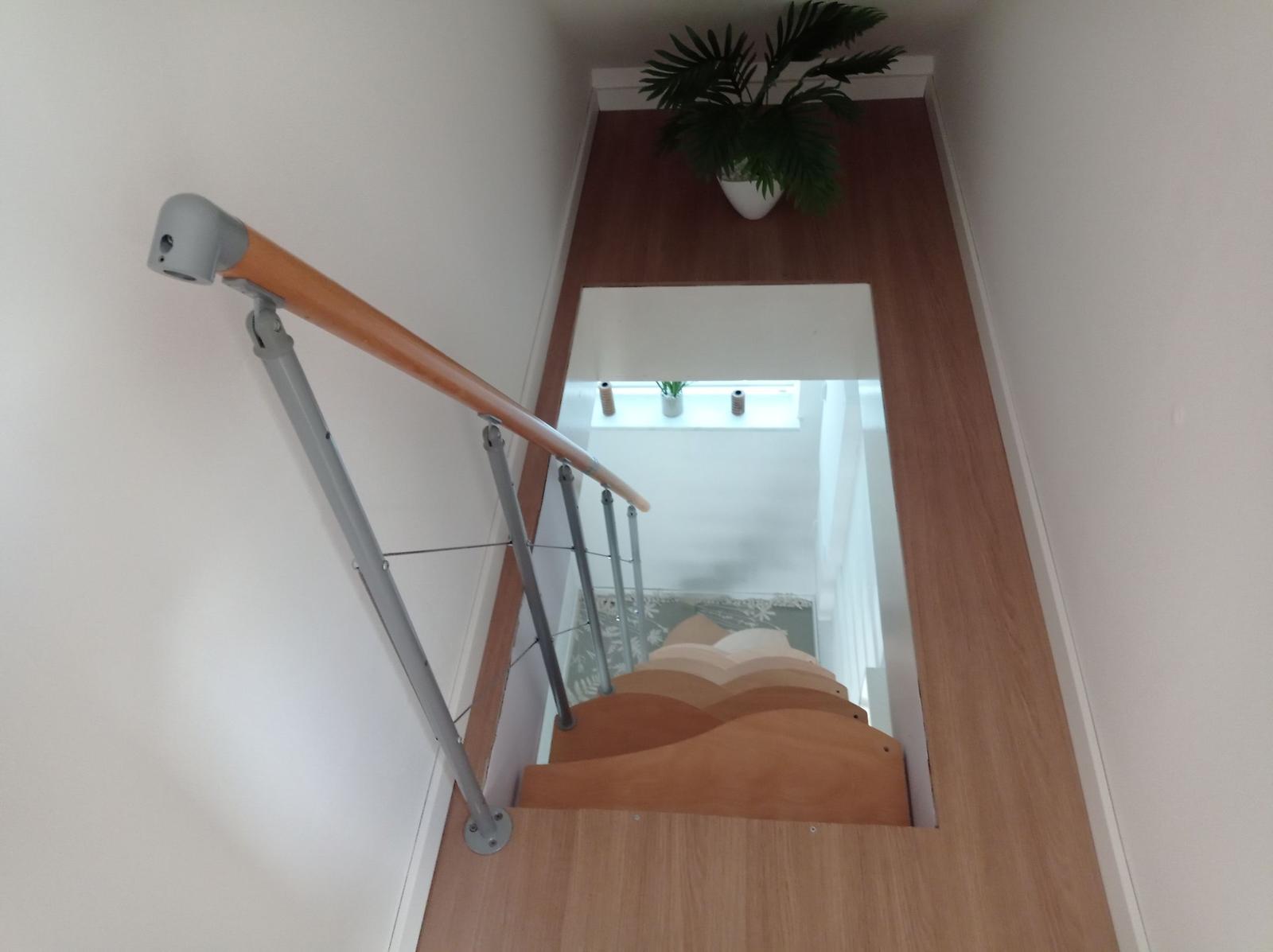 Holztreppe mit Handlauf und Glasbrüstung. Pflanze an der Wand.