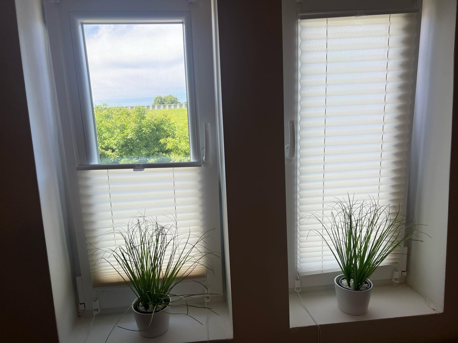 Zwei Fenster mit Jalousien und Pflanzen auf den Sitzflächen. Draußen ist Grün und Himmel sichtbar.