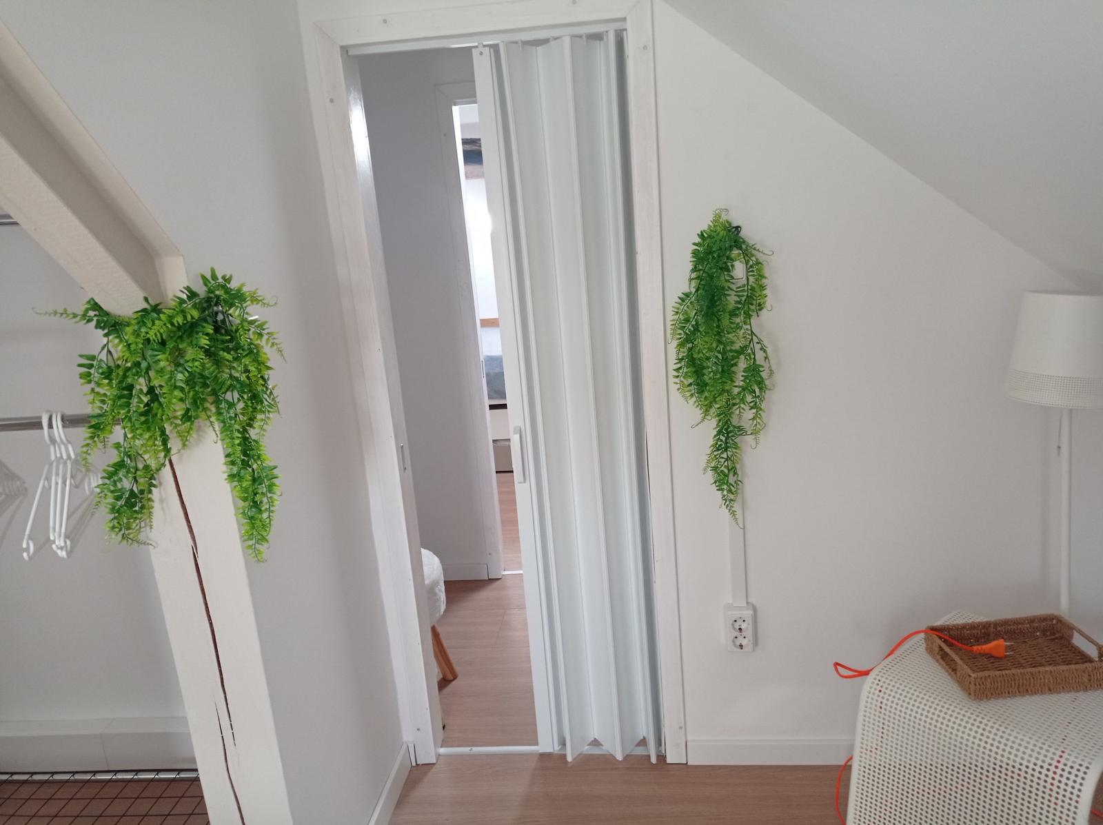 Durchgang mit Klappwand, Wandpflanzen und Stromstecker an der Wand.