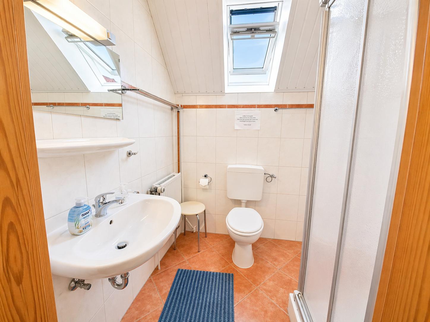 Badezimmer mit Dusche, Toilette, Waschbecken und Dachfenster.