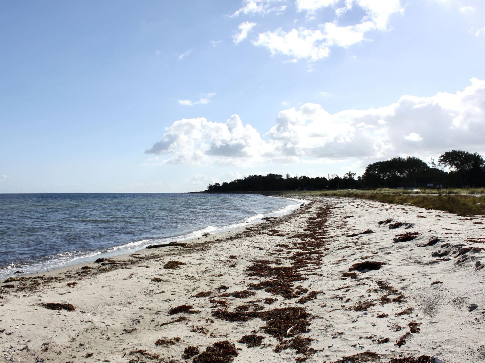 Strand mit weißem Sand und Wellen. Im Hintergrund sind Bäume und ein blauer Himmel mit Wolken.