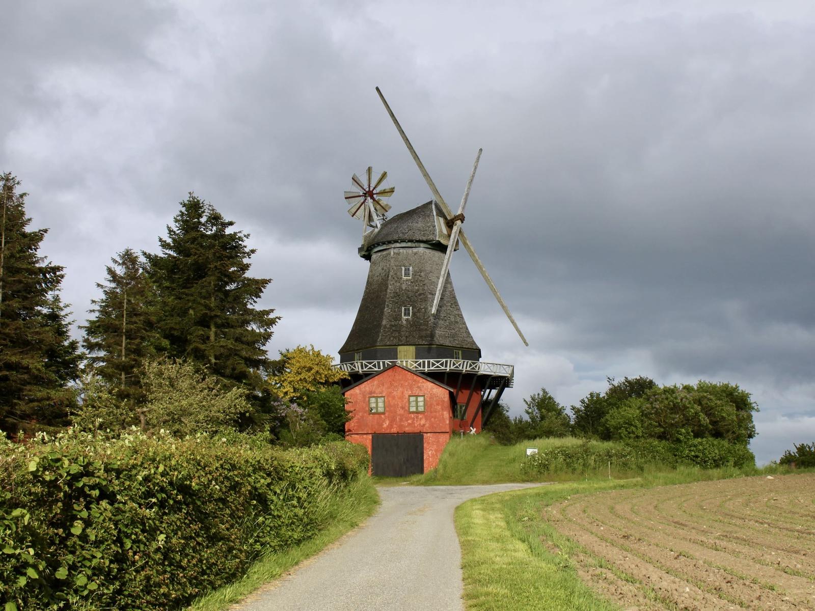 Alte Windmühle mit rotem Unterbau und grauem Dach, umgeben von Wald und Feldern.