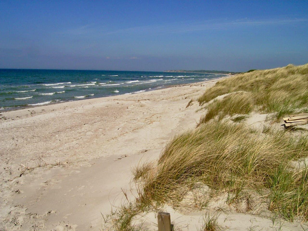 Strand mit Sanddünen und grüner Vegetation am Meer