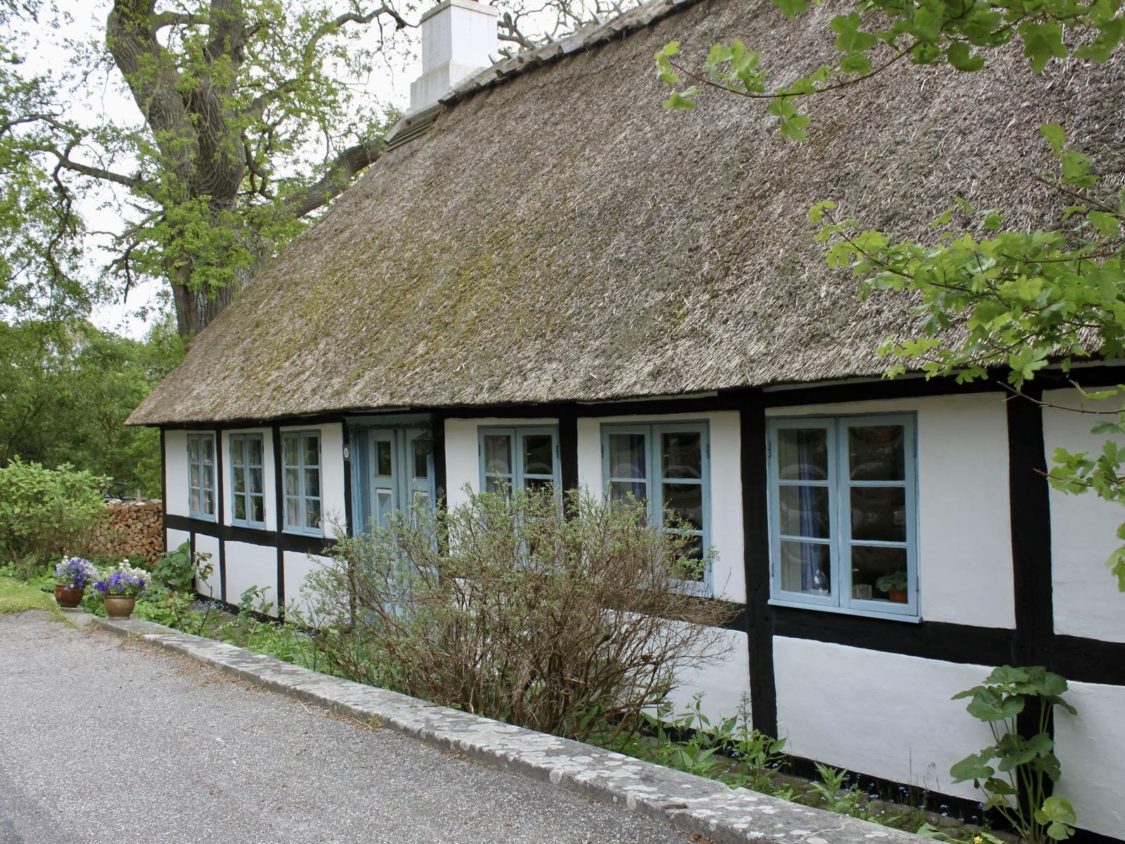 Haus mit Strohdach, weißen Wänden und blauen Fenstern. Umgeben von Bäumen und Pflanzen.