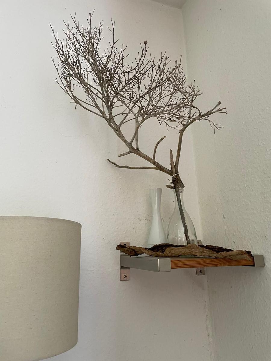 Ein Zweig in einem Glasbehälter auf einer Wandregal mit Holz und Metall.
