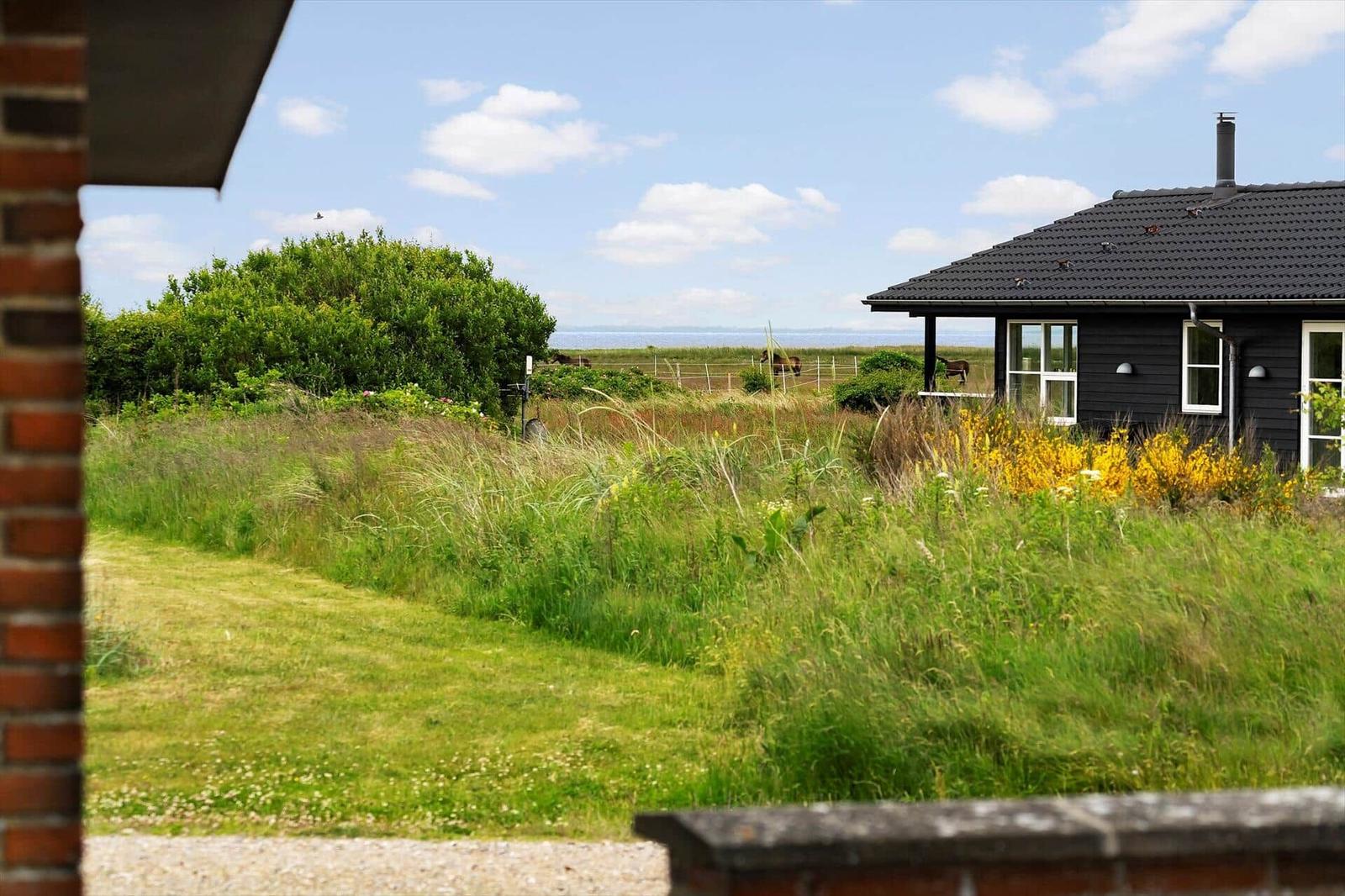 Schwarzes Haus mit Blick auf Grasland und Meeresblick. Gelbe Blumen und hohe Gräser sind sichtbar.