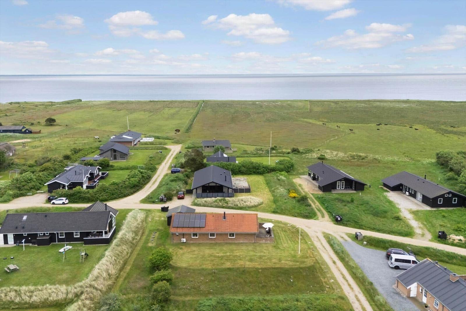 Aerial view of holiday homes on green meadows near sea.