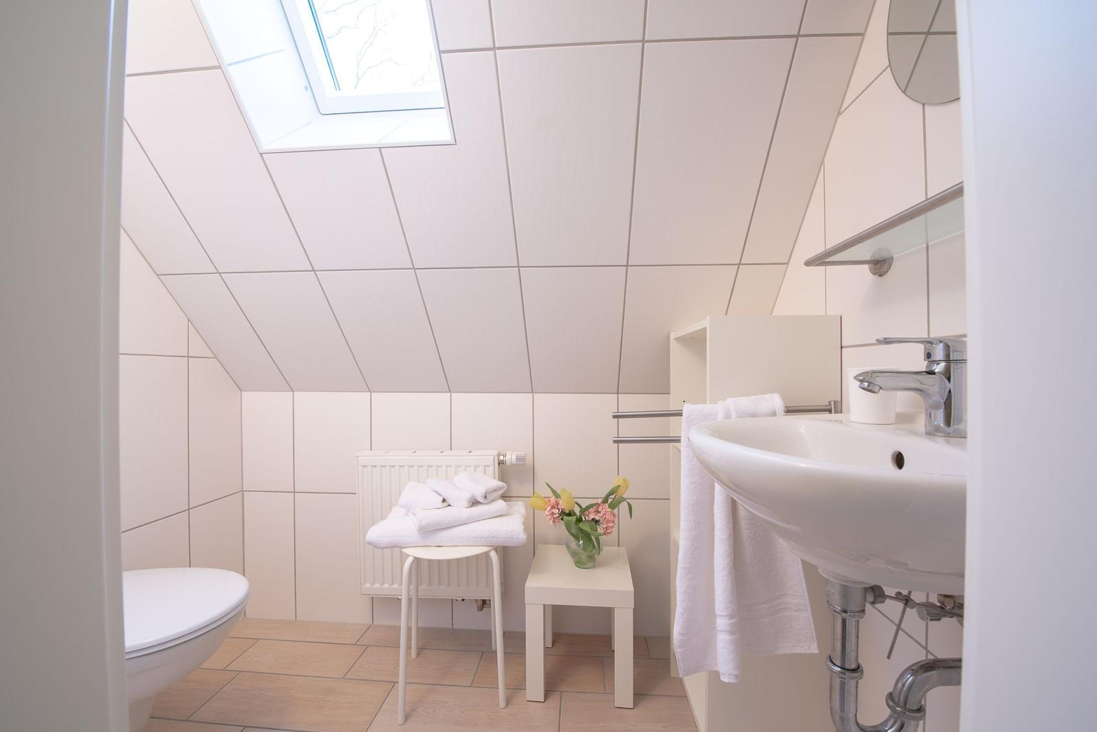 Badezimmer mit Dachfenster, Waschbecken, Toilette und Handtuchständer.