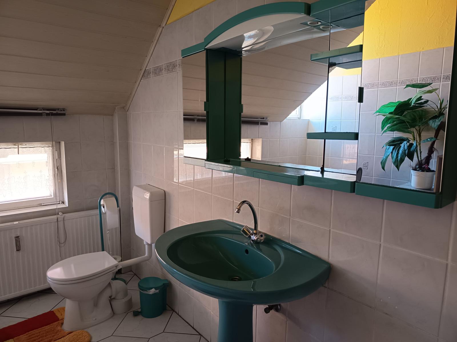 Badezimmer mit grünem Waschbecken, Spiegel und Pflanze an der Wand.