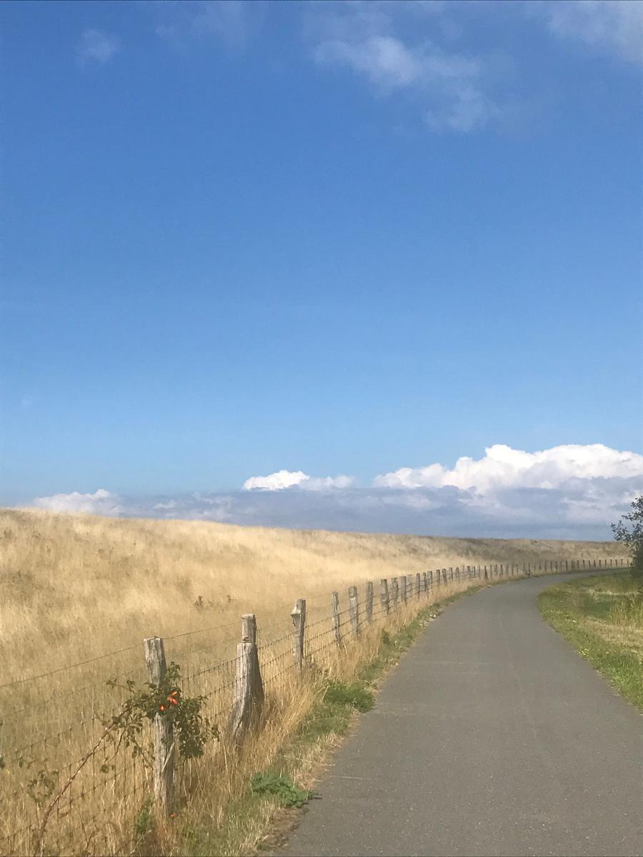 Beste Fahrradwege auf der ganzen Insel.
