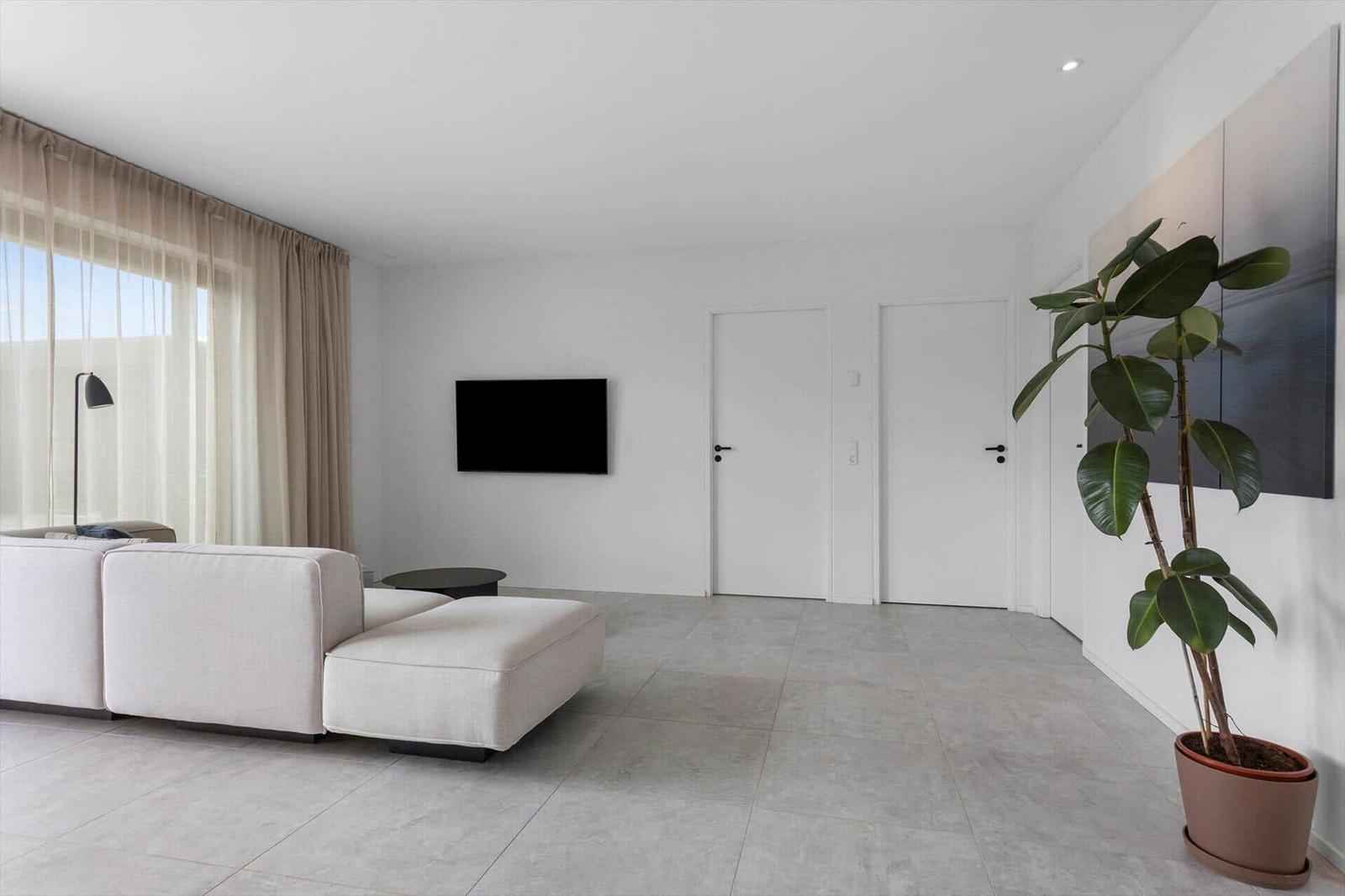 Wohnzimmer mit Sofa, Fernseher und Pflanze. Große Fenster und weiße Wände.