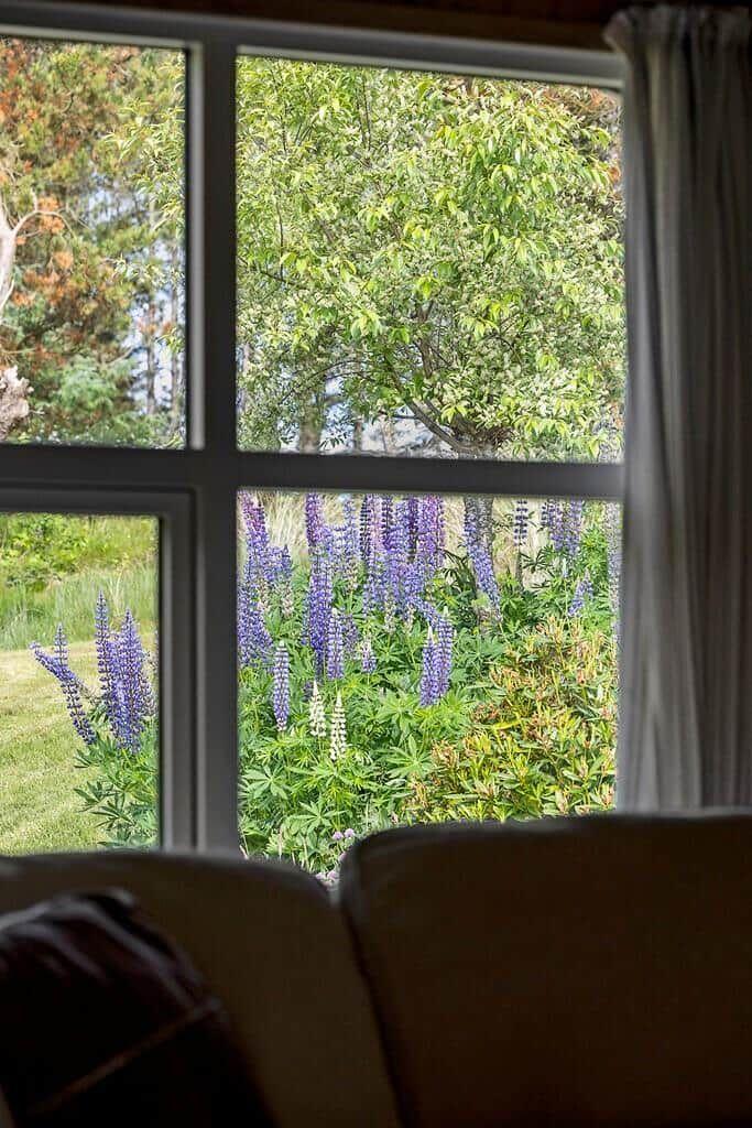 Durch das Fenster blickt man auf einen Garten mit lila Lupinen und grünen Bäumen.