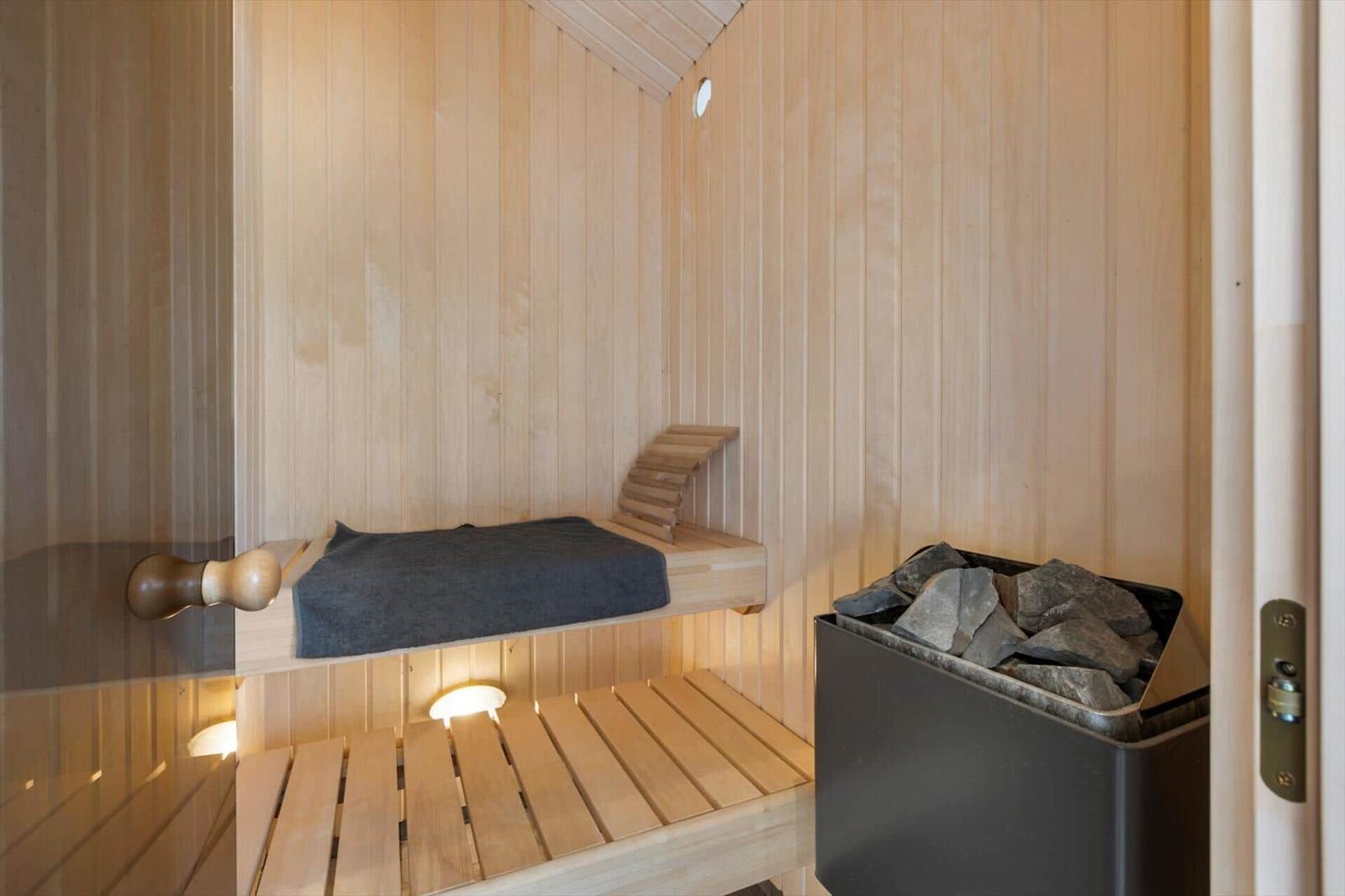 Sauna with wooden bench, stone stove, and ceiling light.