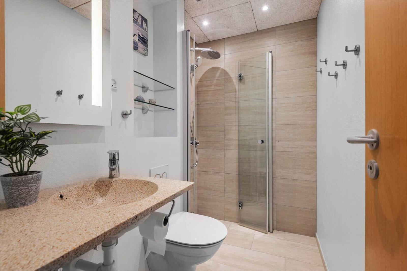 Badezimmer mit Dusche, Waschbecken und Toilette. Holztür und Pflanze sichtbar.