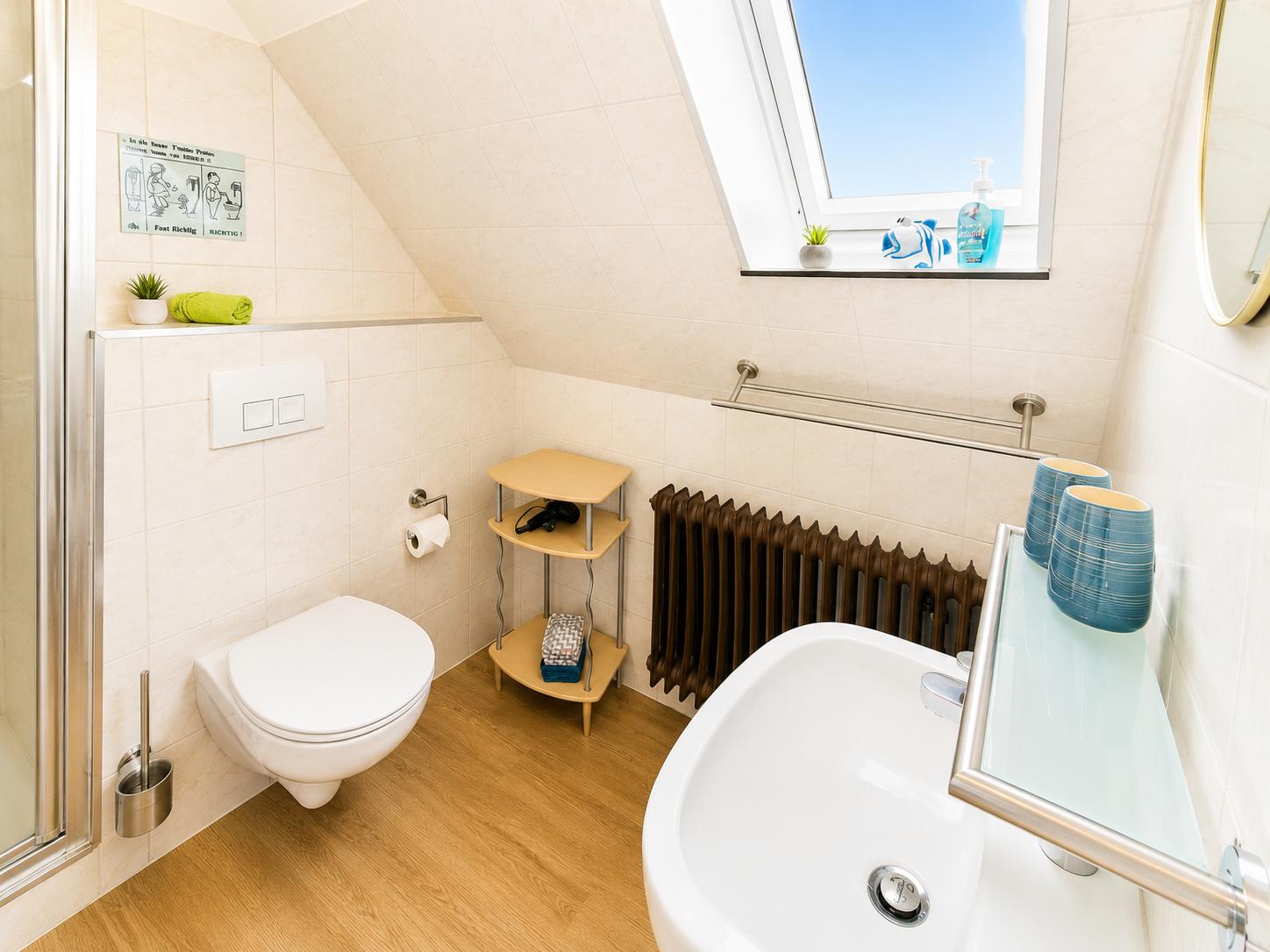 Badezimmer mit Dusche, WC, Waschbecken und Dachfenster.