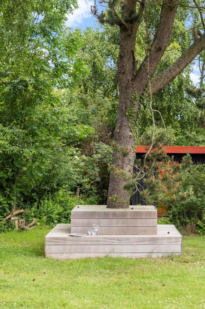 A tree stands on a wooden platform in the garden. A red building is visible in the background.
