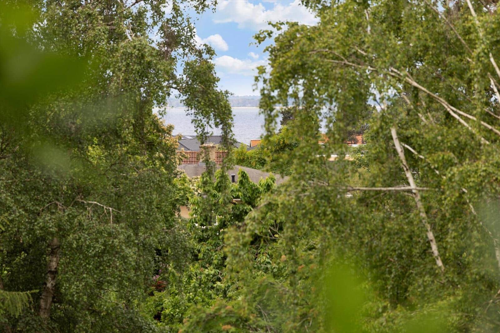 View through trees to a lake and houses in the background.