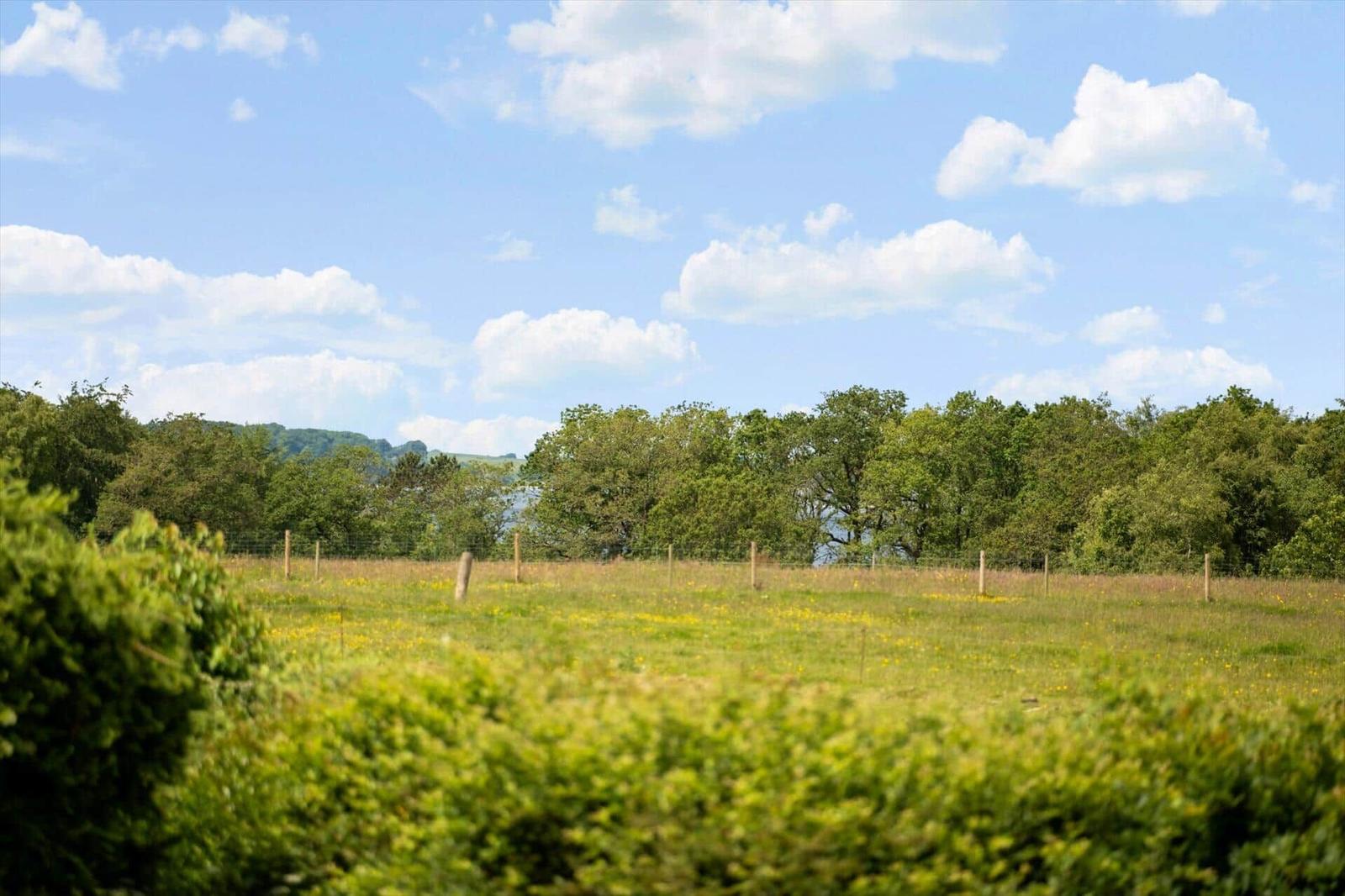 Weite Wiese mit gelben Blumen, umgeben von Bäumen und einem Zaun unter blauem Himmel mit weißen Wolken.