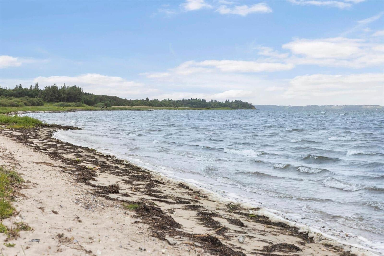 Strand mit Sand und Algen, Wasser wellig, bewaldeter Hügel im Hintergrund unter blauem Himmel.